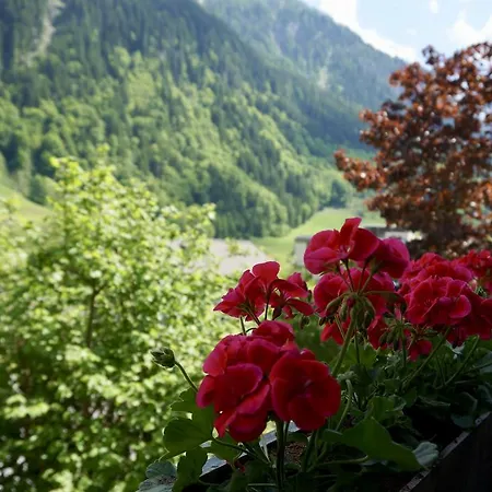 アパート Garsella *